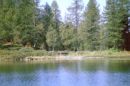 Appartamenti nelle Dolomiti in Trentino